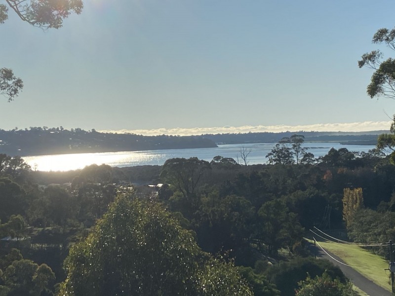 43 Stringybark Place, Millingandi NSW 2549