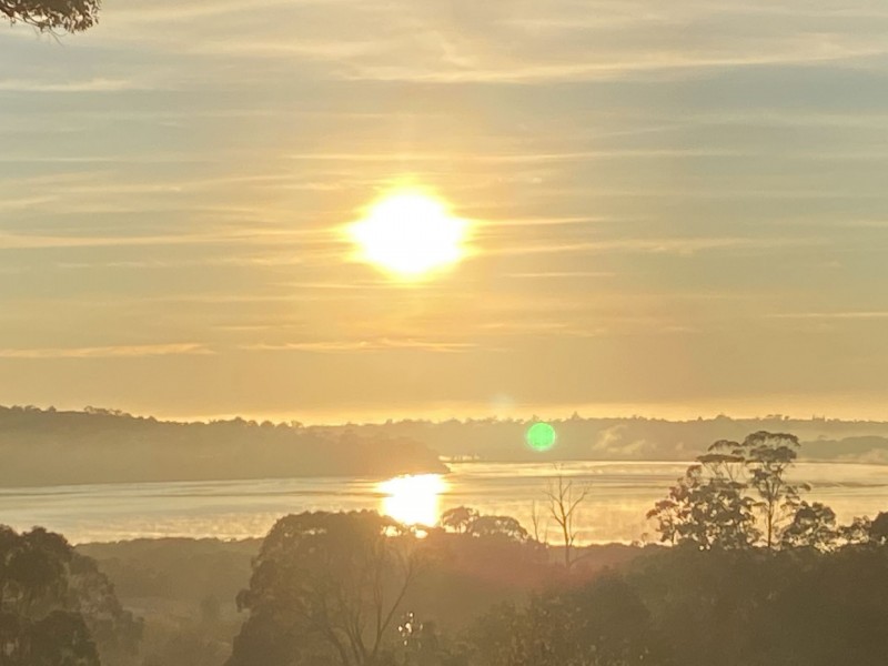 43 Stringybark Place, Millingandi NSW 2549