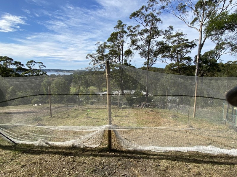 43 Stringybark Place, Millingandi NSW 2549