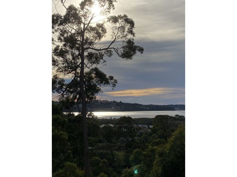 43 Stringybark Place, Millingandi NSW 2549