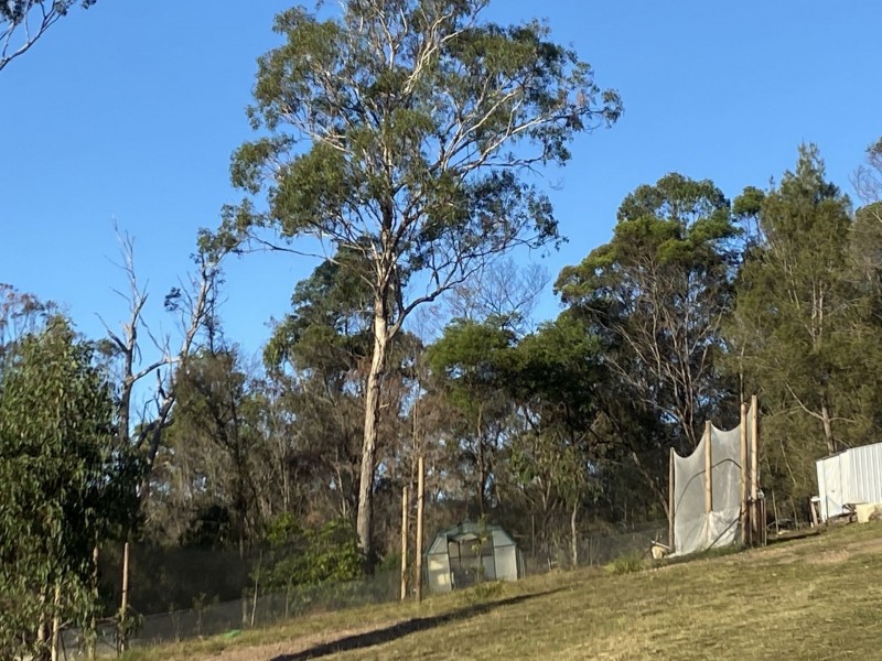 43 Stringybark Place, Millingandi NSW 2549