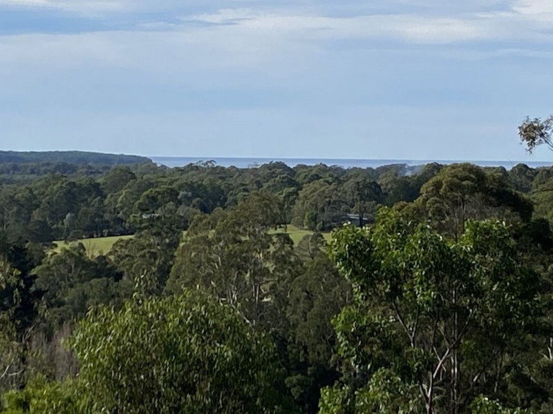 43 Stringybark Place, Millingandi NSW 2549