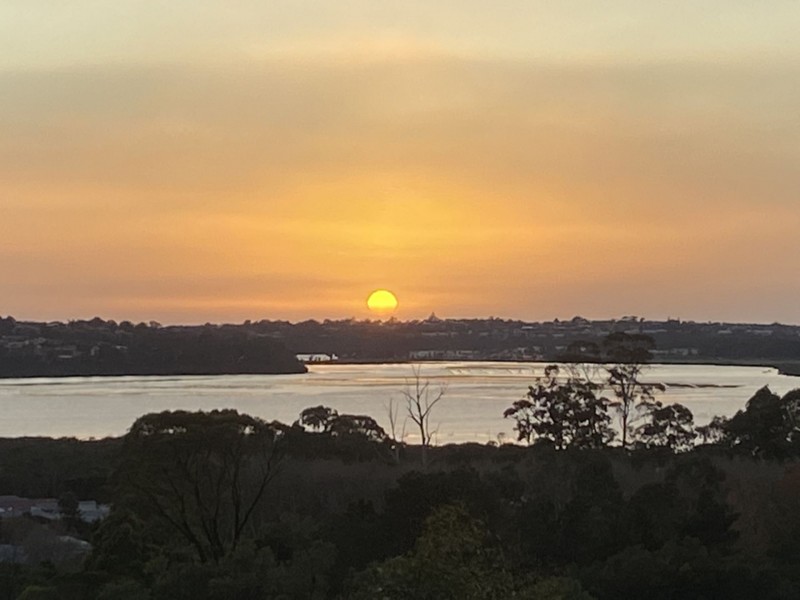 43 Stringybark Place, Millingandi NSW 2549