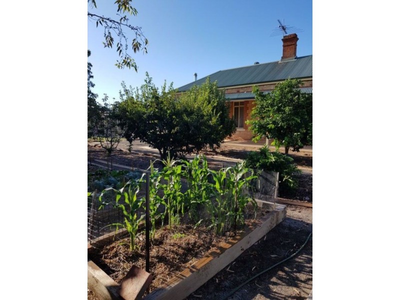 12 Castine Terrace, Riverton SA 5412