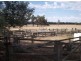 1655 Perup Road, Manjimup WA 6258