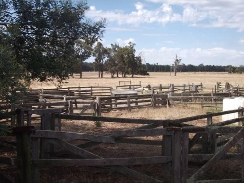 1655 Perup Road, Manjimup WA 6258