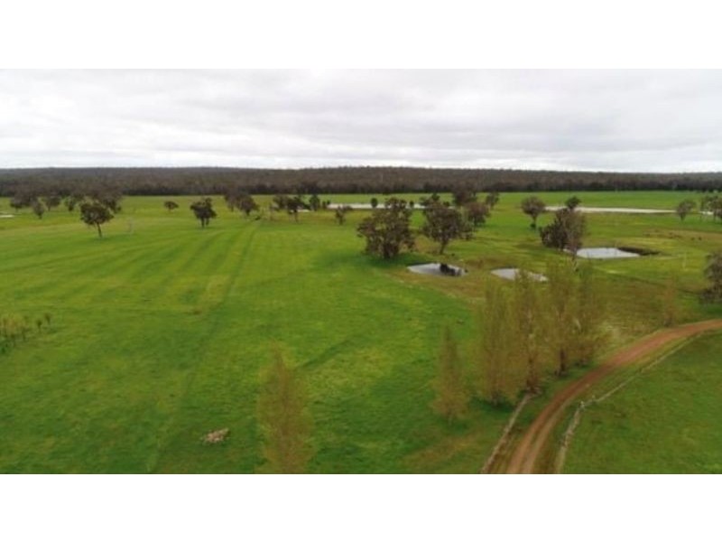 1655 Perup Road, Manjimup WA 6258