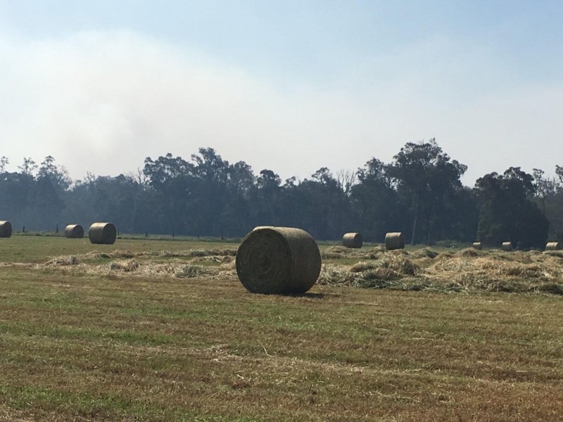 1655 Perup Road, Manjimup WA 6258
