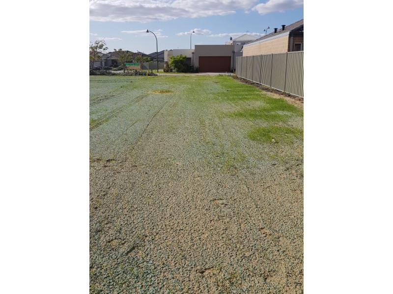 Lot 244 Fernleaf Loop, Piara Waters WA 6112