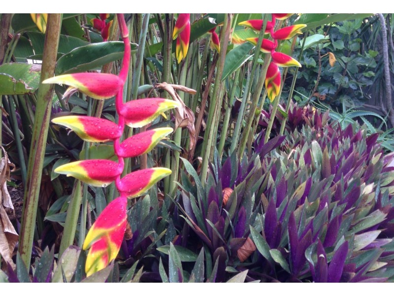 1 Bagnoo Place, Port Macquarie NSW 2444