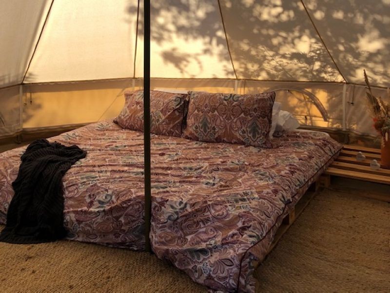 124 Penrice Road, Penrice SA 5353