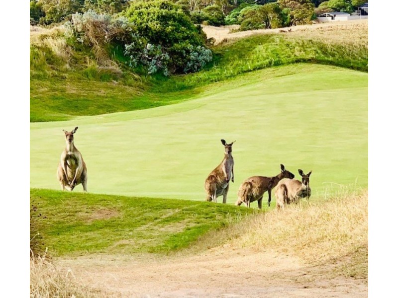 19 30 Troon Drive, Normanville SA 5204