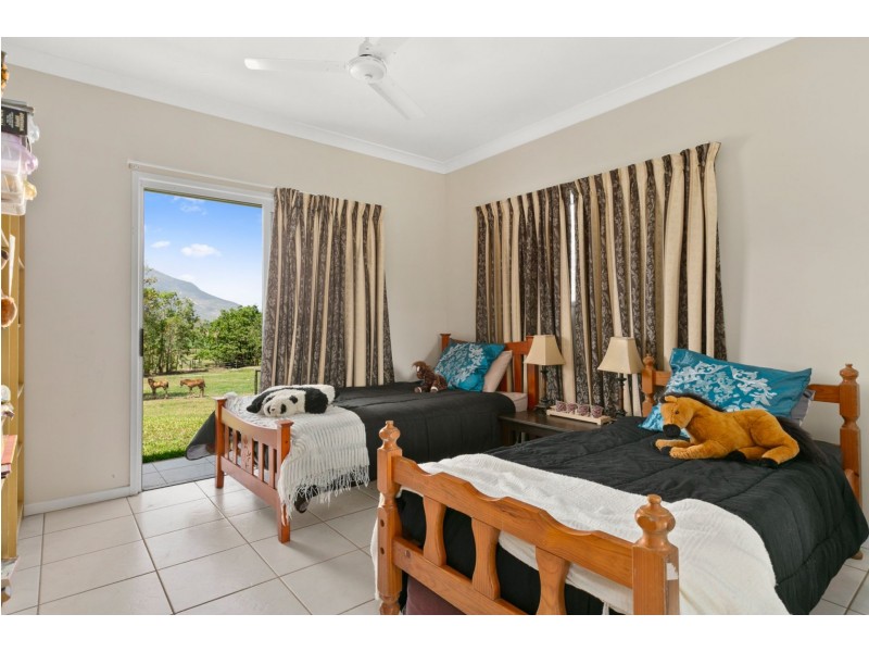 Lot 119 Nucifora Access, Gordonvale QLD 4865