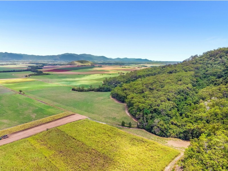 Lot 119 Nucifora Access, Gordonvale QLD 4865