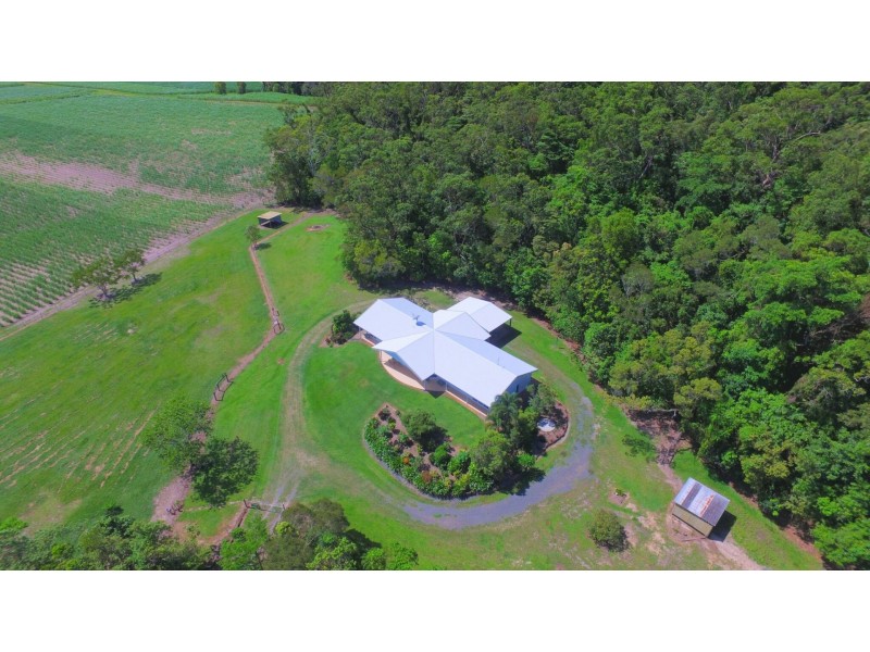 Lot 119 Nucifora Access, Gordonvale QLD 4865