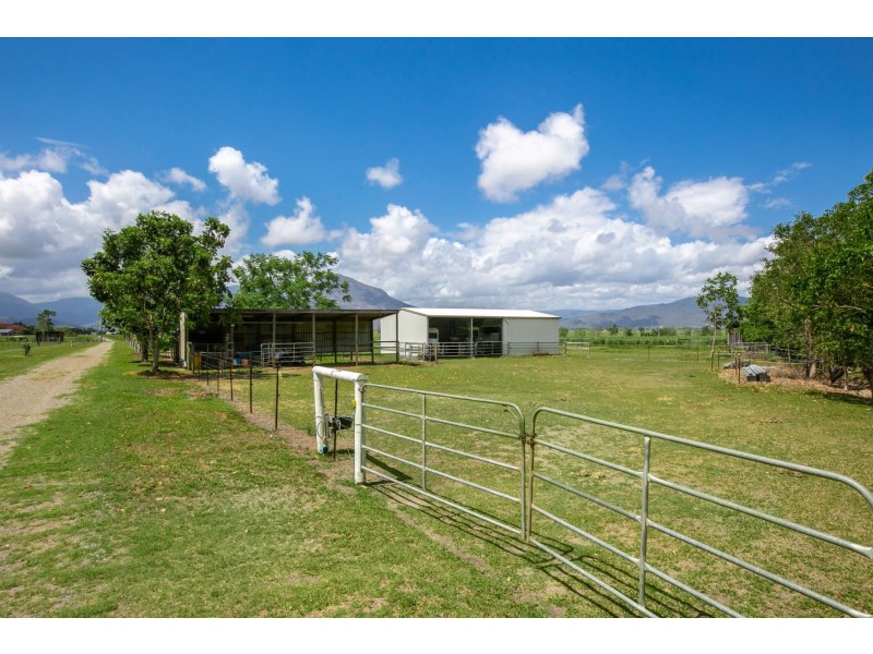 Lot 119 Nucifora Access, Gordonvale QLD 4865