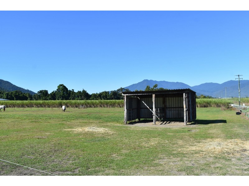 Lot 119 Nucifora Access, Gordonvale QLD 4865