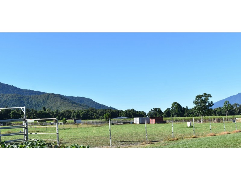 Lot 119 Nucifora Access, Gordonvale QLD 4865