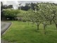 Turners Marsh TAS 7267
