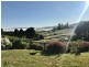 Turners Marsh TAS 7267