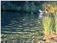 Turners Marsh TAS 7267