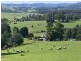 Turners Marsh TAS 7267