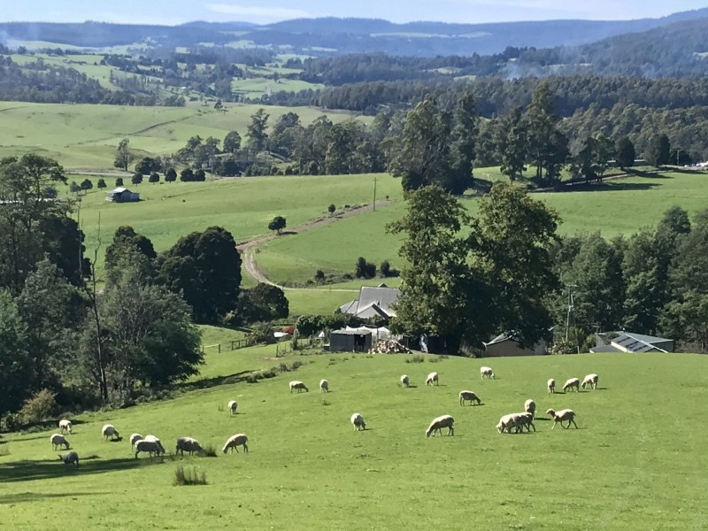 Turners Marsh TAS 7267