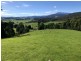 Turners Marsh TAS 7267