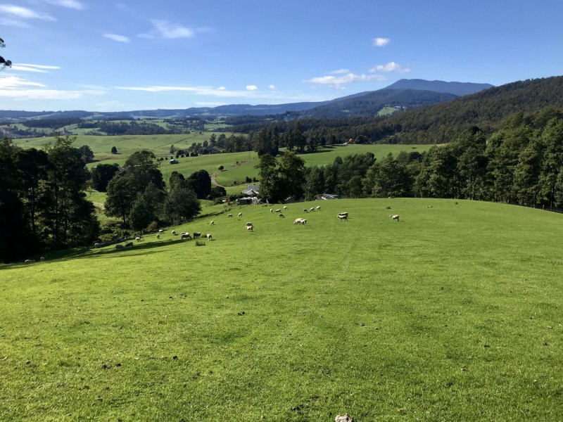 Turners Marsh TAS 7267