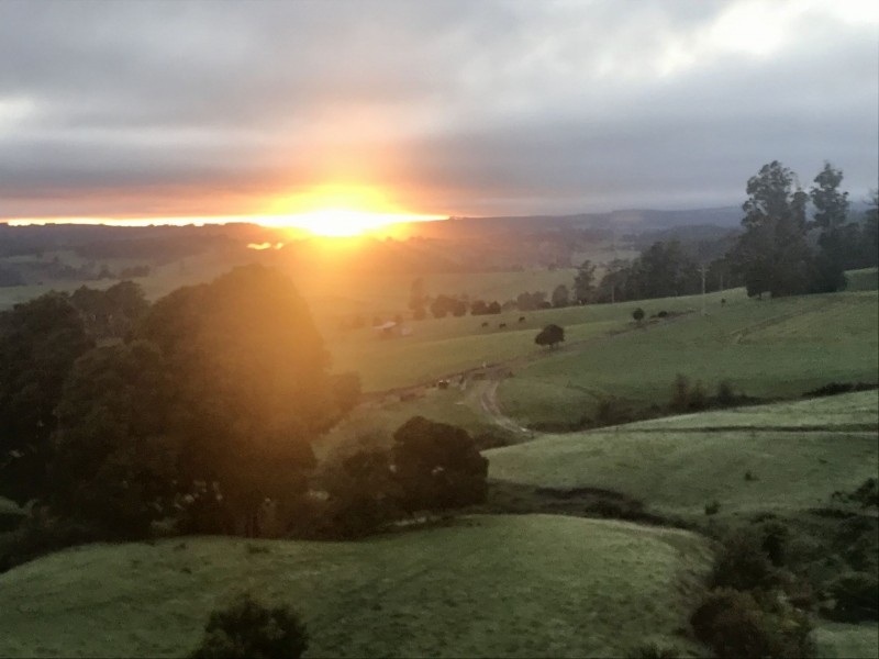 Turners Marsh TAS 7267