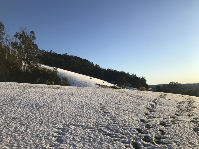 Turners Marsh TAS 7267