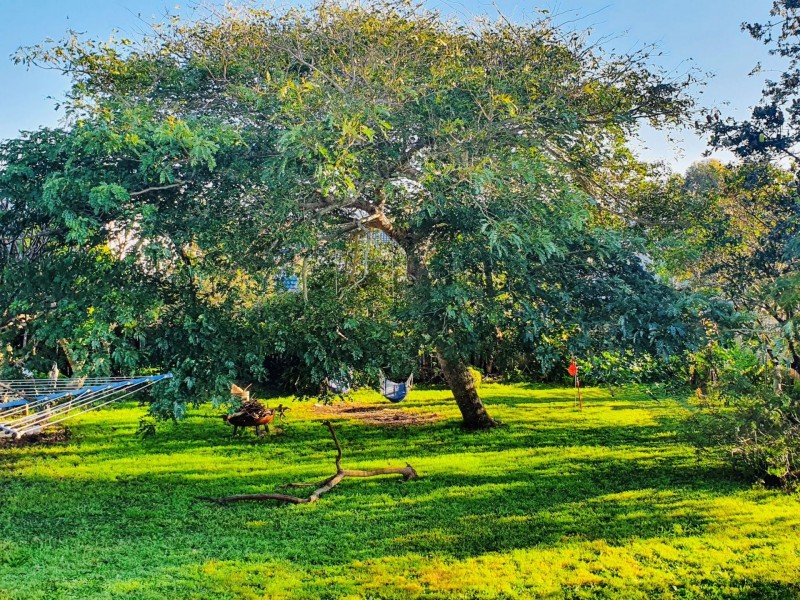 101 Northcote Avenue, Swansea NSW 2281