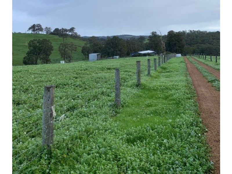 Lot 59 King Spring Rd, Thomson Brook WA 6239