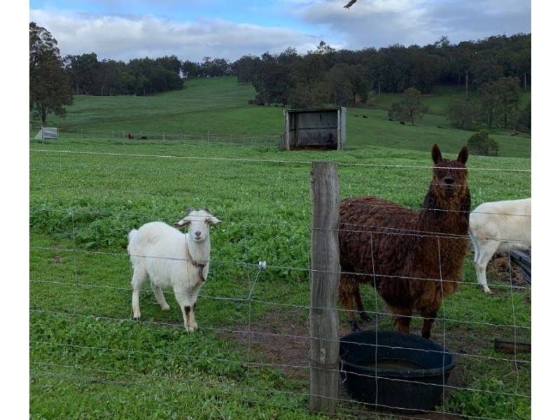 Lot 59 King Spring Rd, Thomson Brook WA 6239