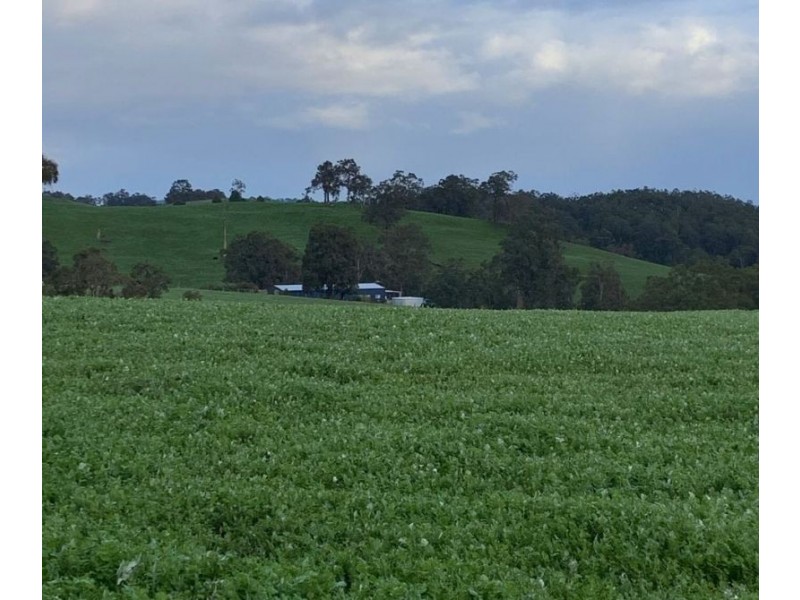 Lot 59 King Spring Rd, Thomson Brook WA 6239