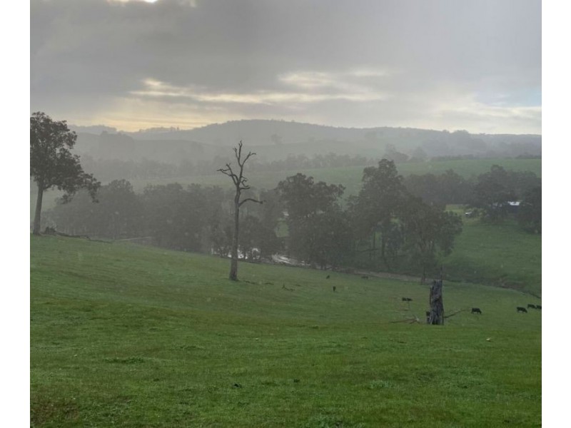 Lot 59 King Spring Rd, Thomson Brook WA 6239