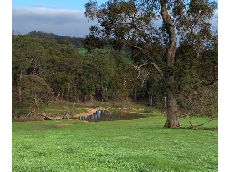 Lot 59 King Spring Rd, Thomson Brook WA 6239