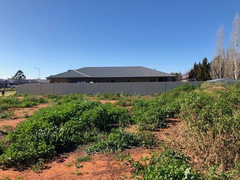 23 Lanza grove, Griffith NSW 2680