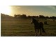 Tooradin VIC 3980