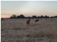 Tooradin VIC 3980