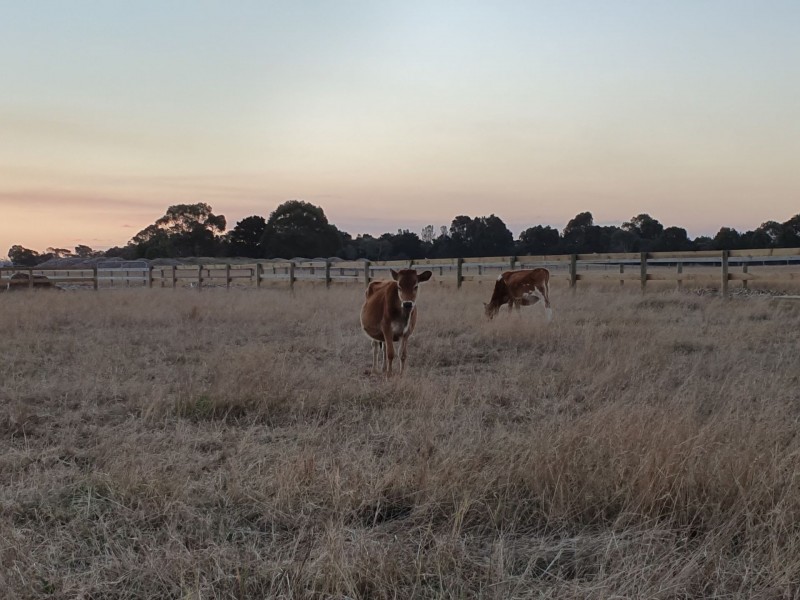 Tooradin VIC 3980