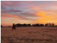 Tooradin VIC 3980