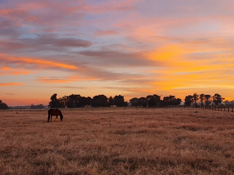 Tooradin VIC 3980