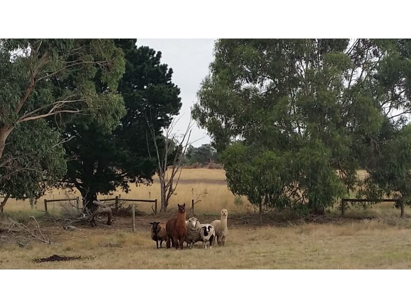 Tooradin VIC 3980