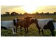Tooradin VIC 3980