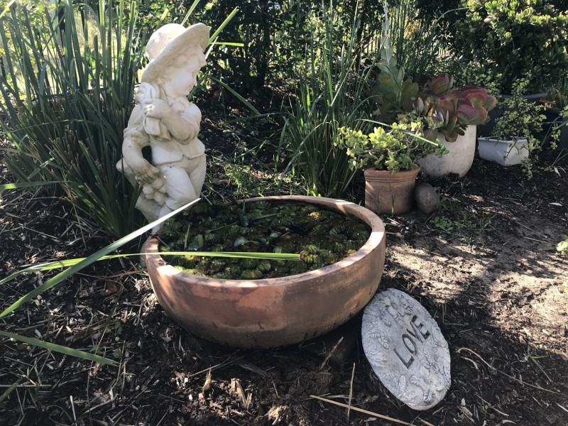 156/1A Kalaroo Road, Redhead NSW 2290