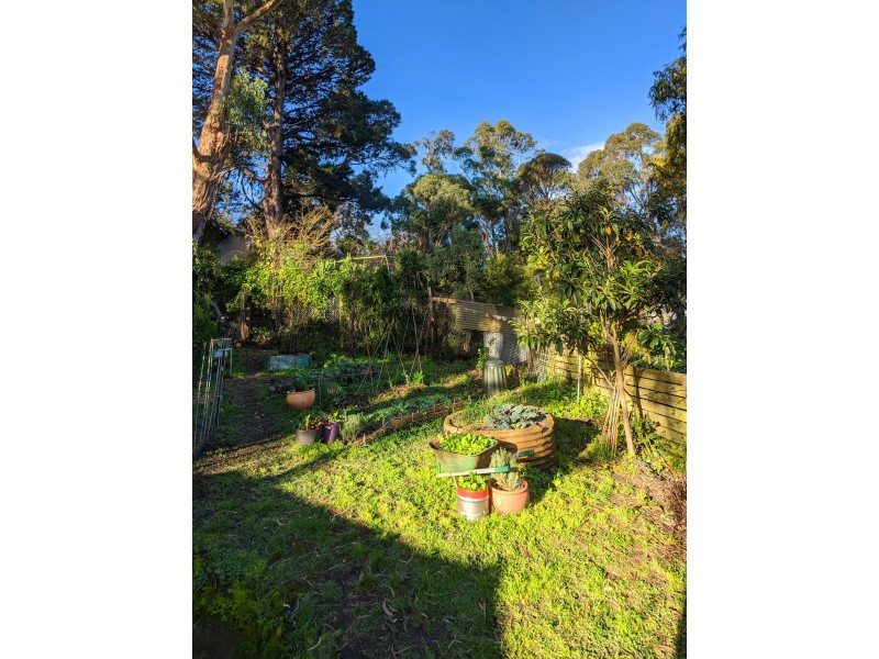 17 Belgrave-Gembrook Road, Belgrave VIC 3160