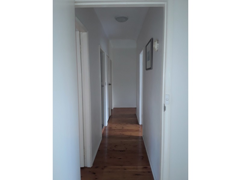 4/43-47 Solander Street, Monterey NSW 2217