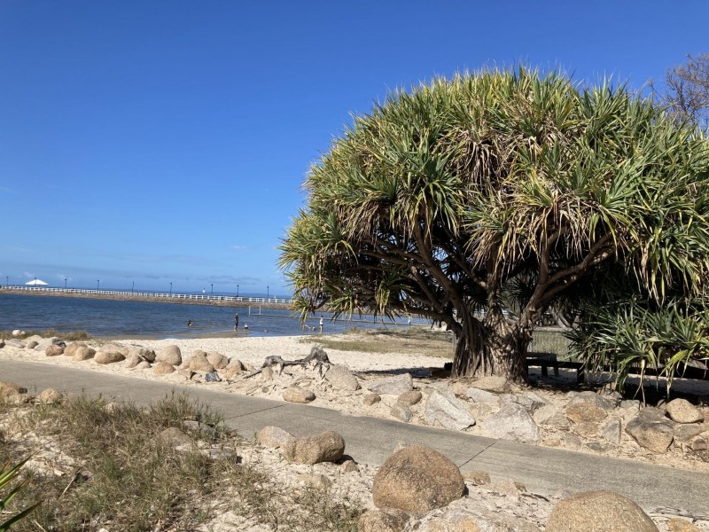 Lot Lot 60, 31 Davidson St, Wynnum QLD 4178