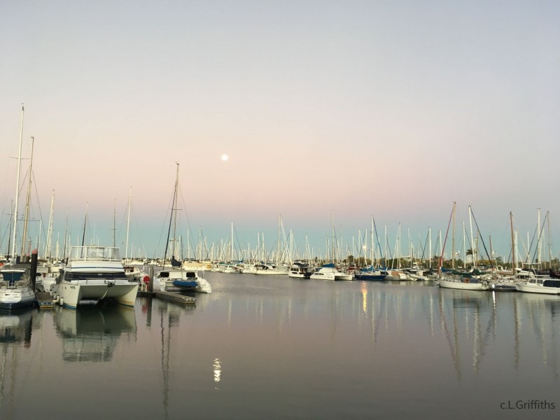 Lot Lot 60, 31 Davidson St, Wynnum QLD 4178